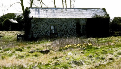 ECMR Locomotive Shed at The Butts, Calstock: May 1979