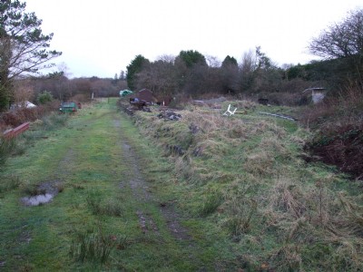Photographs Of East Cornwall Mineral