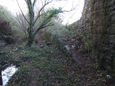 East Cornwall Mineral Railway