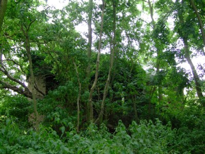 16.07.09 Easton On the Hill Quarry - Single road engine shed- lost in the trees