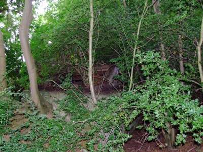 Photographs Of Easton On The Hill