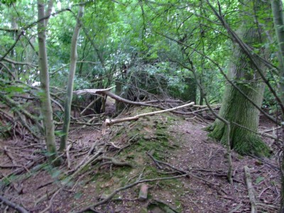 16.07.09 Easton On the Hill Quarry - Gradient down thru brick lined cutting to winding drum