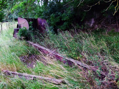 16.07.09 Easton On the Hill Quarry - Tippler remains