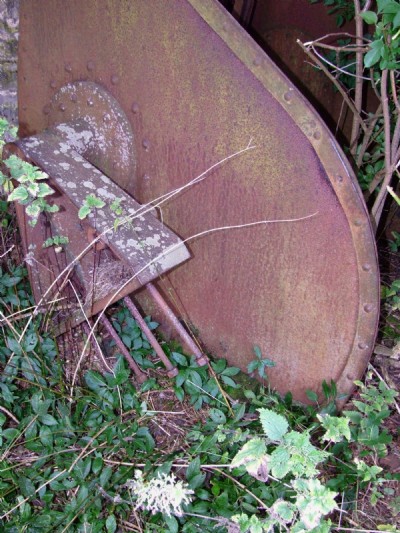 16.07.09 Easton On the Hill Quarry - Tippler remains - detail