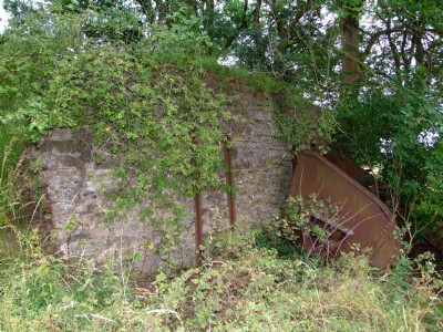 16.07.09 Easton On the Hill Quarry - Tippler remains