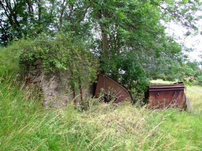 16.07.09 Easton On the Hill Quarry - Tippler remains