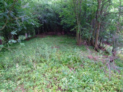 16.07.09 Easton On the Hill Quarry - View up 1 in 13 incline from Tippler