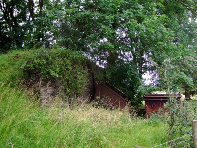 16.07.09 Easton On the Hill Quarry - Tippler remains