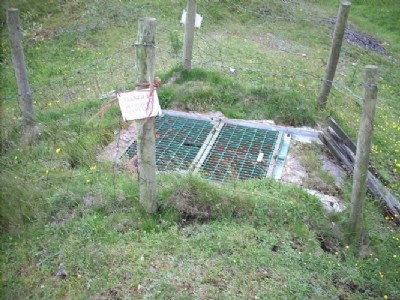 Bowler Shaft 2007