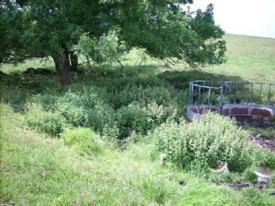 Gregory Shaft 2007