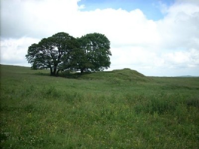 Gregory Shaft 2007