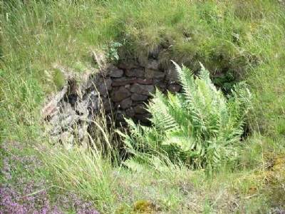 Platt Shaft 2007