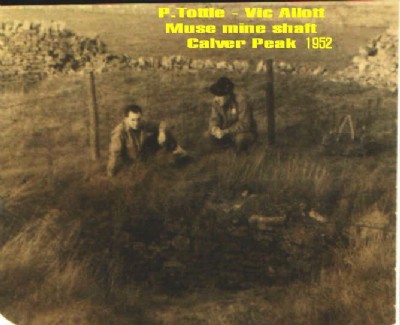 Muse Mine