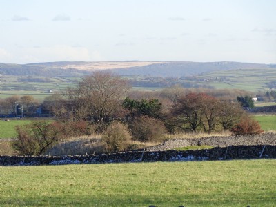 Photographs Of Edge Rake