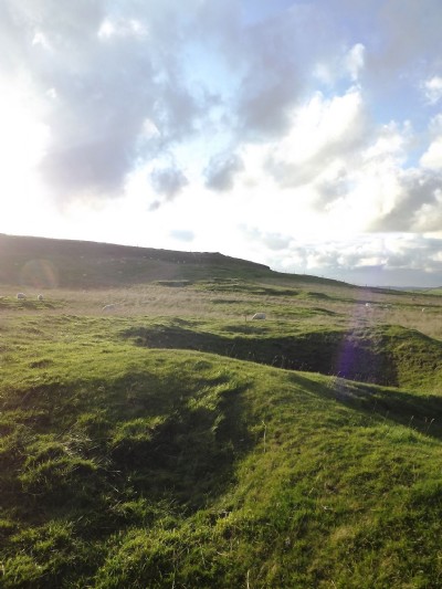Photographs Of Eldon Bent Vein