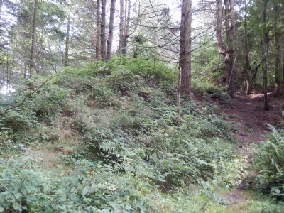 Ellwood Coal Pit tip