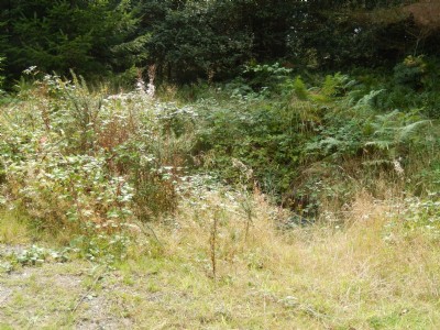 Shaft Ellwood Coal Pit
