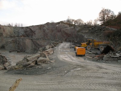 The quarry - showing an oldish top level