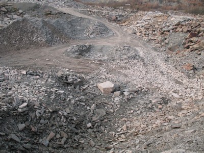 Pit