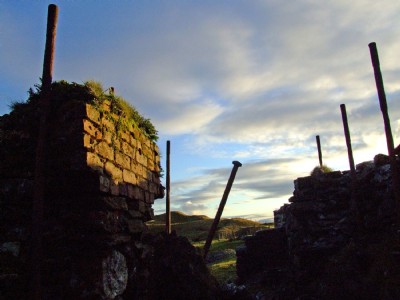 Whim at sunset