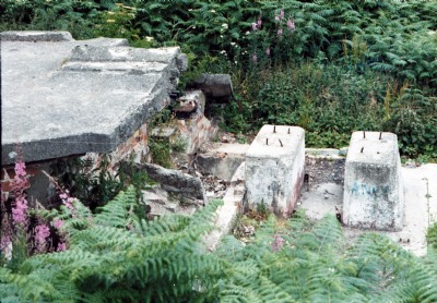 Trustee Fanhouse remains.