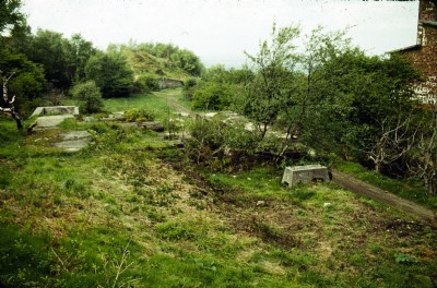 25 May 1979