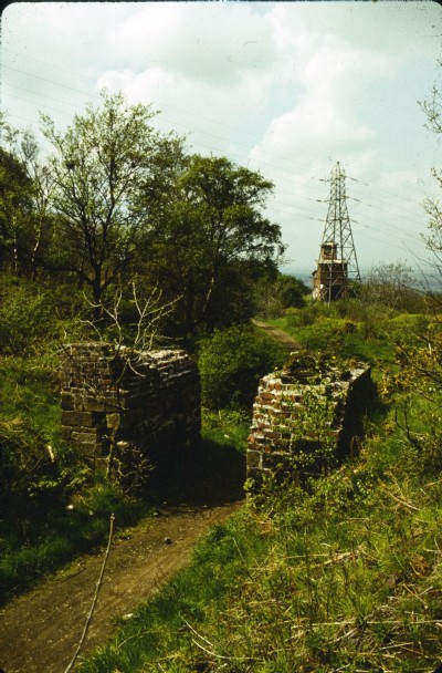 25 May 1979