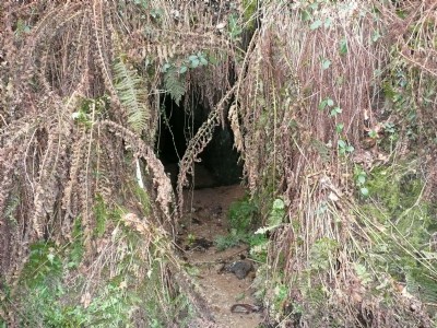 Photographs Of Exmoor Un-Named Trial Adit