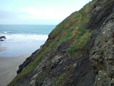 Photographs Of Fenwick