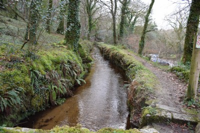 Photographs Of Fowey Consols