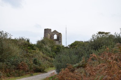 South Wheal Frances