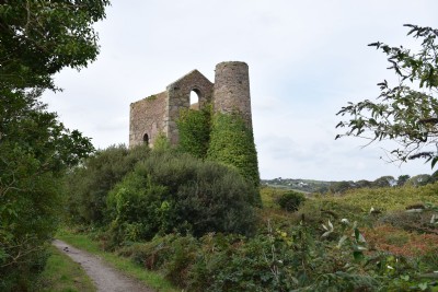 South Wheal Frances