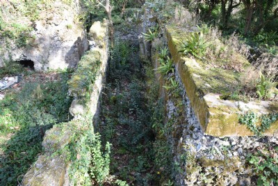 Wheal Friendly