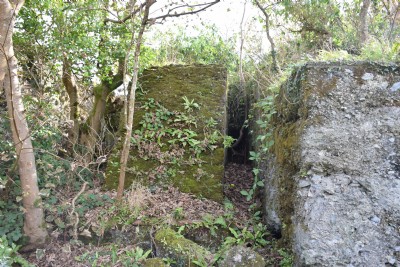 Wheal Friendly