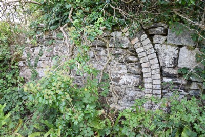 Wheal Friendly