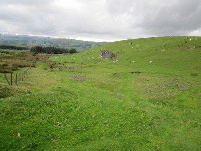 View to the west