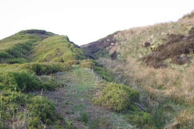 Incline