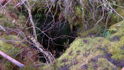 Photographs Of Fee Donald
