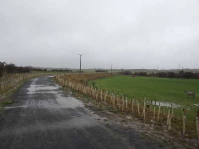 East Holywell Coal Branch Line