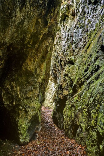 Roman Cave - Central Section