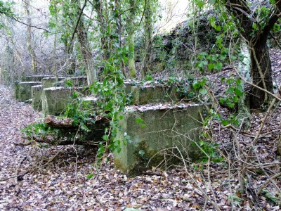 Photographs Of Finedon (R.T & B.)