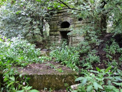 Flockton Lane End Colliery - Site Visit (Photo ref 65823)