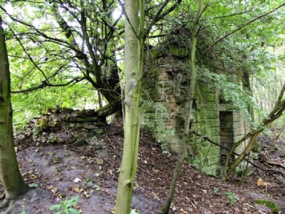 Flockton Lane End Colliery - Site Visit (Photo ref 65831)