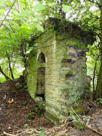 Flockton Lane End Colliery - Site Visit (Photo ref 65838)