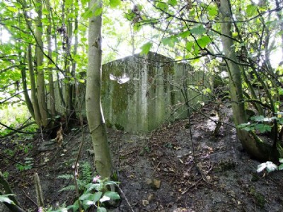 Flockton Lane End Colliery - Site Visit (Photo ref 65843)