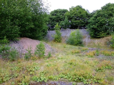 Flockton Lane End Colliery - Site Visit (Photo ref 65848)