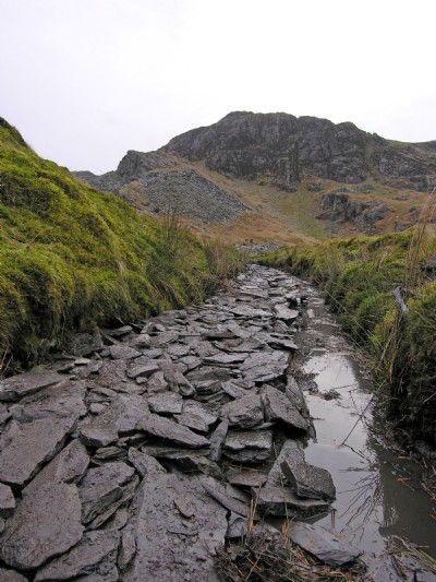 Looking down the causeway