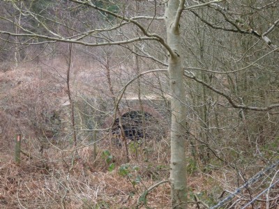 Flourmill Colliery April 2013