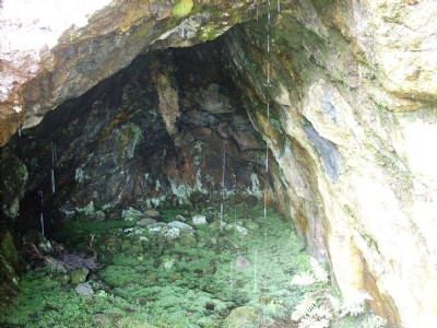 Milkwell Level