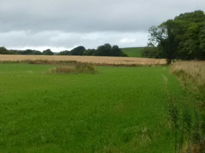 Photographs Of Fordell Day Level